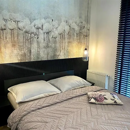 Marea Moja Islandia *