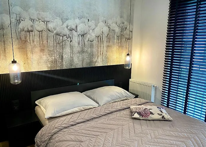 Marea Moja Islandia *